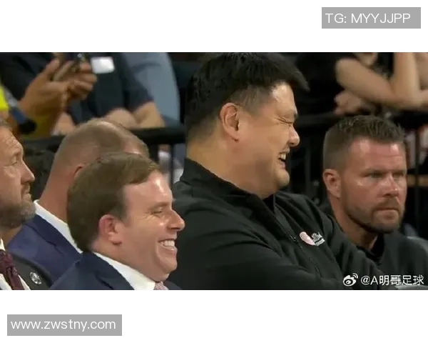 姚明鬼畜笑脸背后的幽默与篮球传奇交织的精彩故事