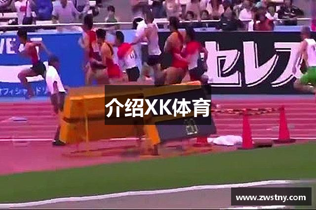 介绍XK体育